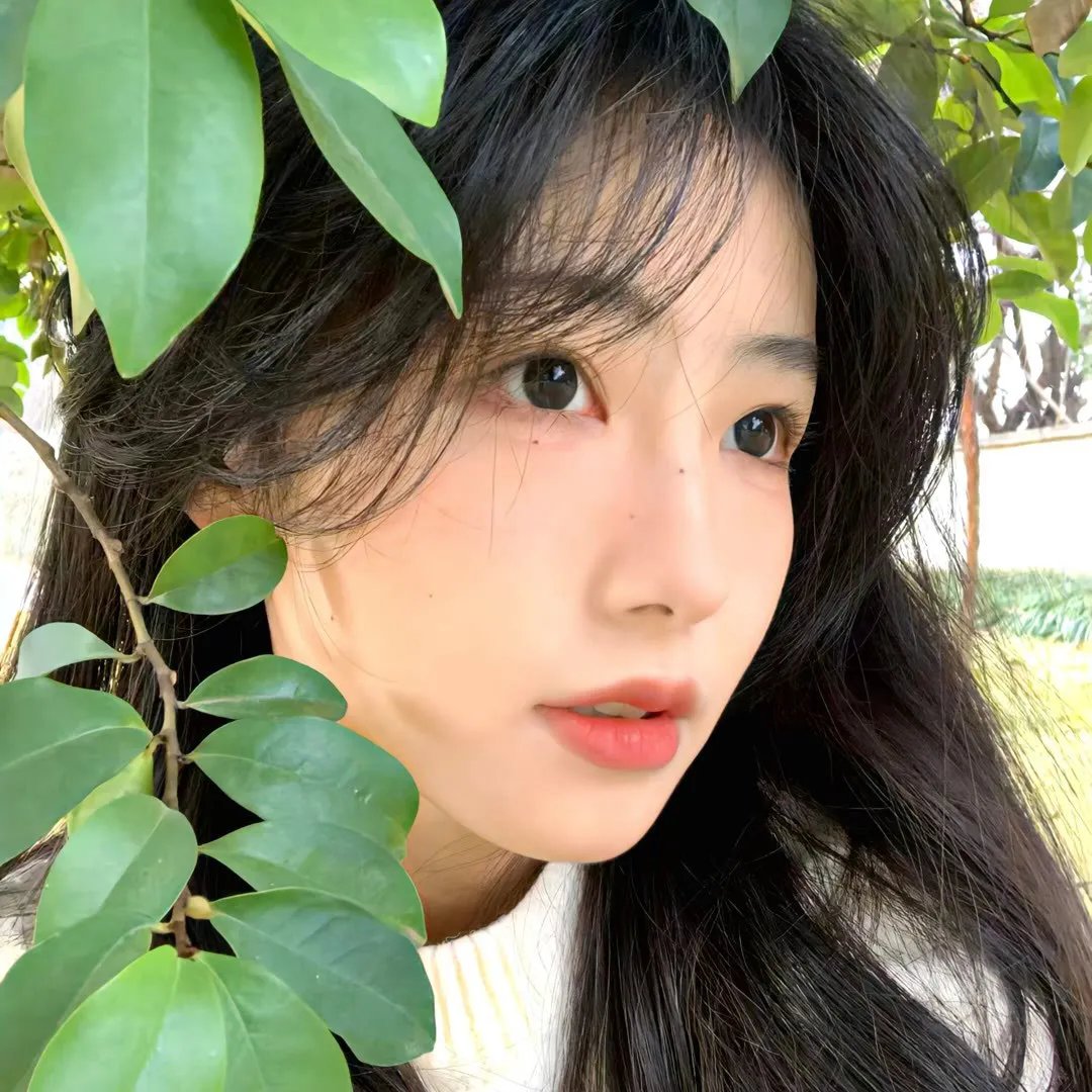 情枭的黎明